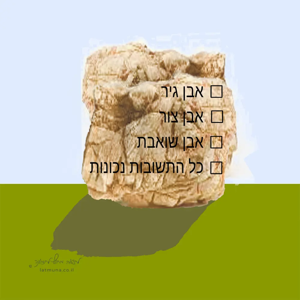 חידה יומית מאוירת: אבן ועליה 4 שורות בסגנון תשובות במבחן אמריקאי